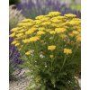 garden design 44