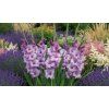 garden design (20)