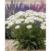 garden design 49