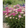 garden design 48