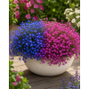 ChatGPT Image 19. 5. 2026 08 07 52
