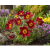 ChatGPT Image 11. 6. 2026 11 03 10