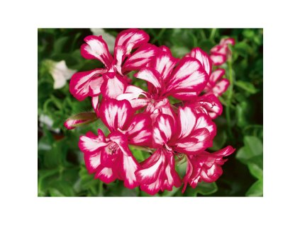 821030c2 e56e 401d 92b9 219e87d5d1ea