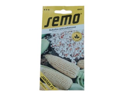 ei 17386641647811333748659613291179 removebg preview