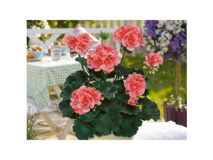 e4d56fd7 7dc0 449d 8651 980a6f72518c