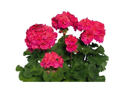 a6f821fb cf20 4d5a 8537 1d83d0ad080a