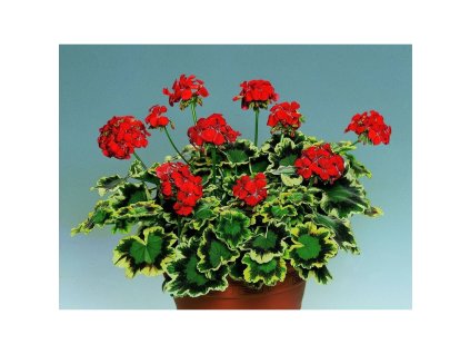 11d48b99 a88b 4a26 bc21 7b64615db9fb