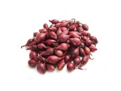 cibulka sadzacka cervena akado 250g