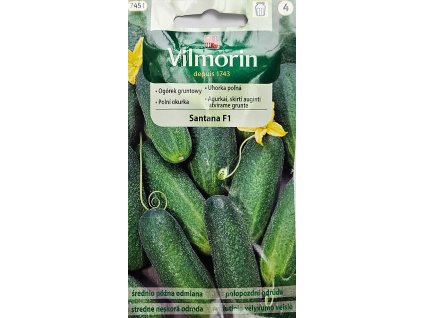 Uhorka Santana F1 Vilmorin