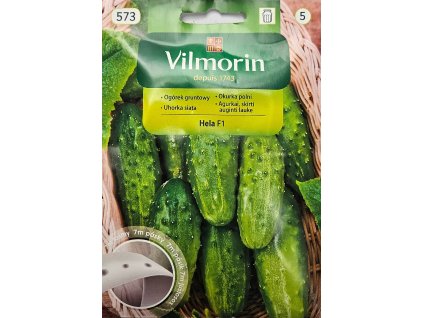 Uhorka Hela F1 pásik Vilmorin