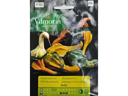 Tekvica ozdobná Indy Vilmorin