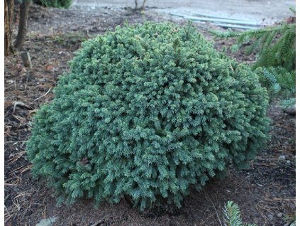 6842778445 e34e2040e0 c