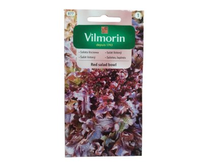 ei 17375471794342165655442196719336 removebg preview