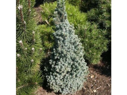 c9f6f7ee 5d46 409b 94d7 996a3c2a688a