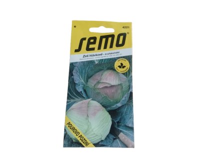 ei 17377265133508978595970637520963 removebg preview