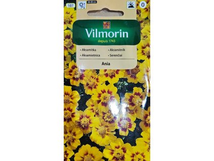 Aksamietnica Ania Vilmorin