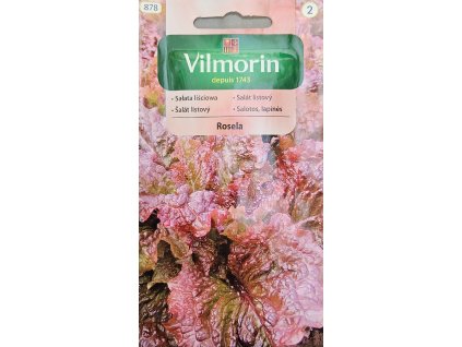 Šalát listový Rosela Vilmorin