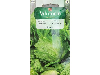 Šalát ľadový Saladin Vilmorin