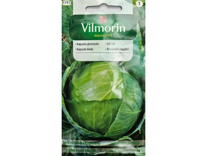 Kapusta biela Dita Vilmorin