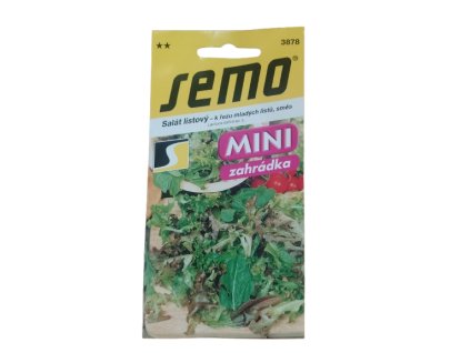 ei 17385778827992763141860658274249 removebg preview