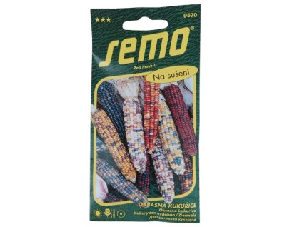 ei 1738149772654589906866545011975 removebg preview