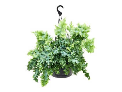 4o6u01fpq9ud9jke32464qbcu71c69iu0tdg2su7 Preview480