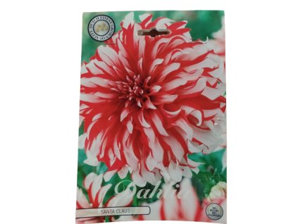 ei 17395206369334713823455943746450 removebg preview