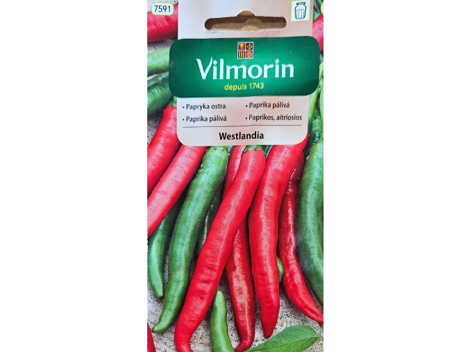 Paprika Westlandia Vilmorin