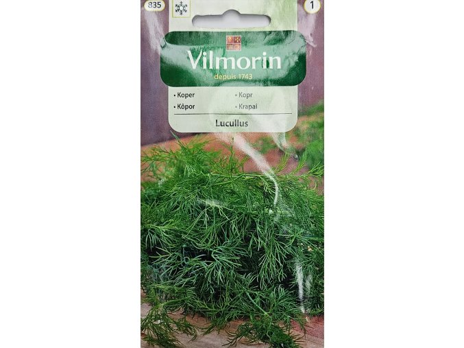 Kôpor Lucullus Vilmorin