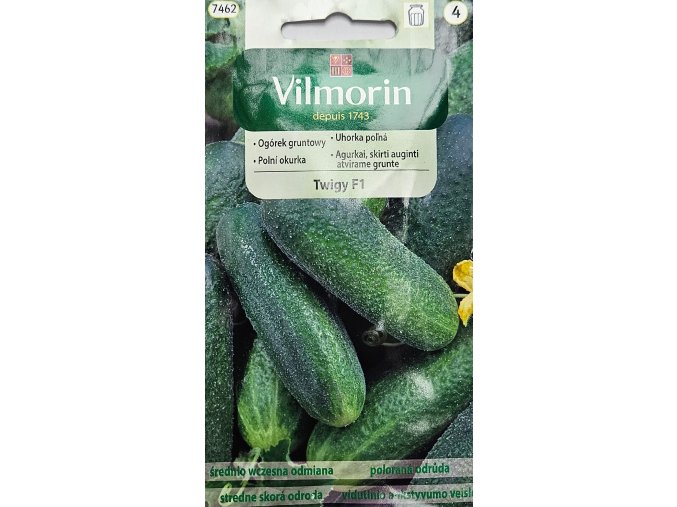 Uhorka Twigy Vilmorin