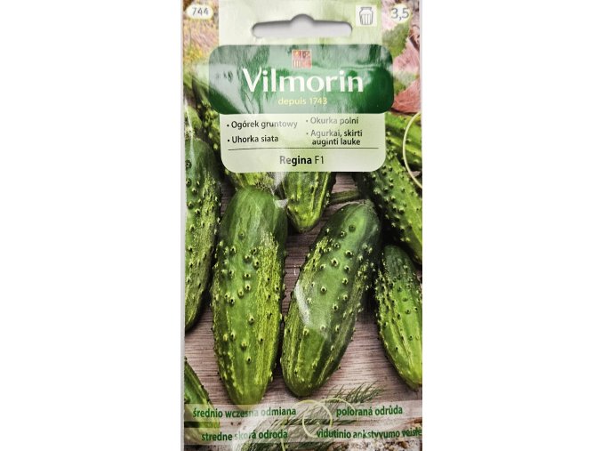 Uhorka Regina F1 Vilmorin