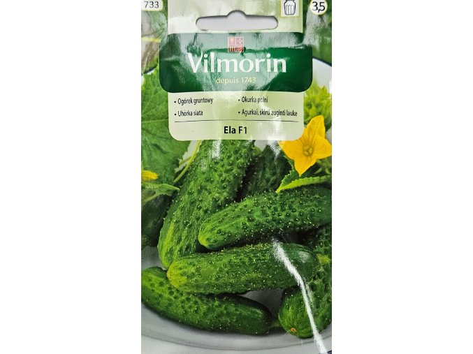 Uhorka Ela F1 Vilmorin