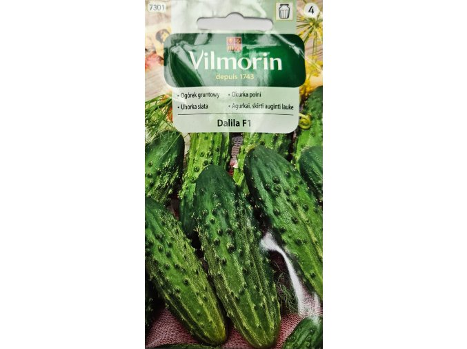 Uhorka Dalila F1 Vilmorin