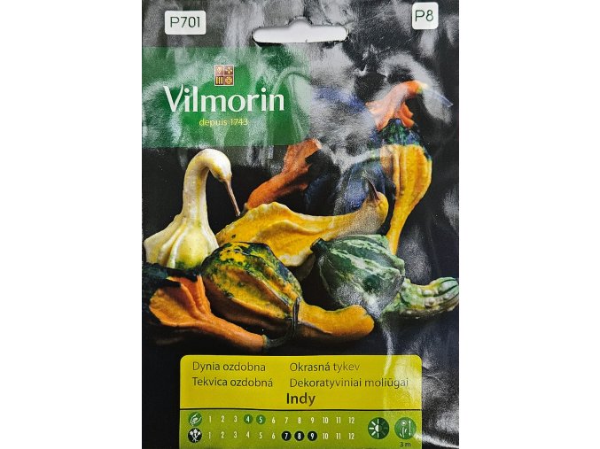 Tekvica ozdobná Indy Vilmorin