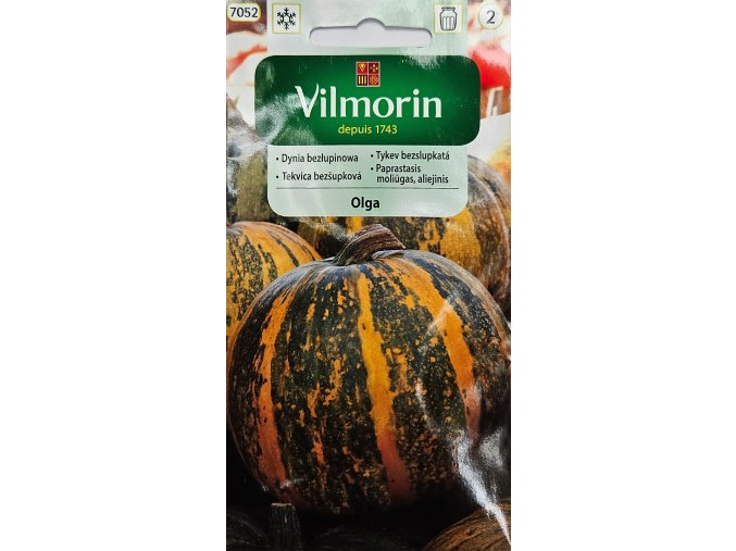 Tekvica Oľga Vilmorin