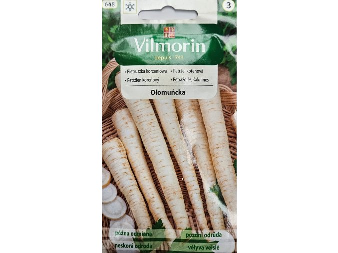 Petržlen Olomoucka Vilmorin
