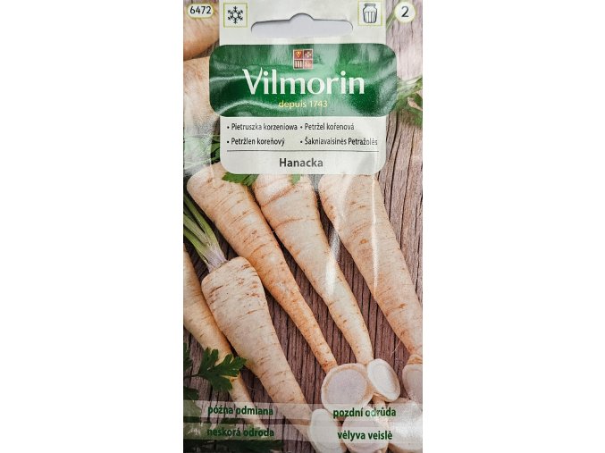 Petržlen Hanácka Vilmorin
