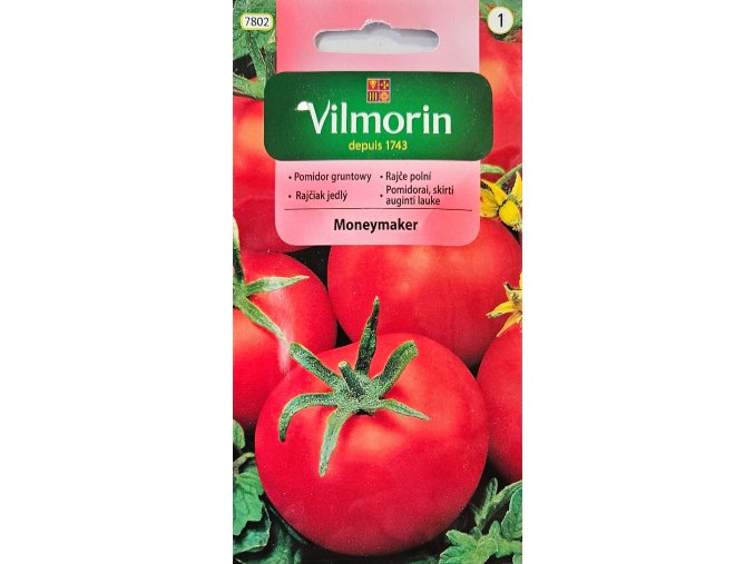 Rajčiak Moneymaker Vilmorin