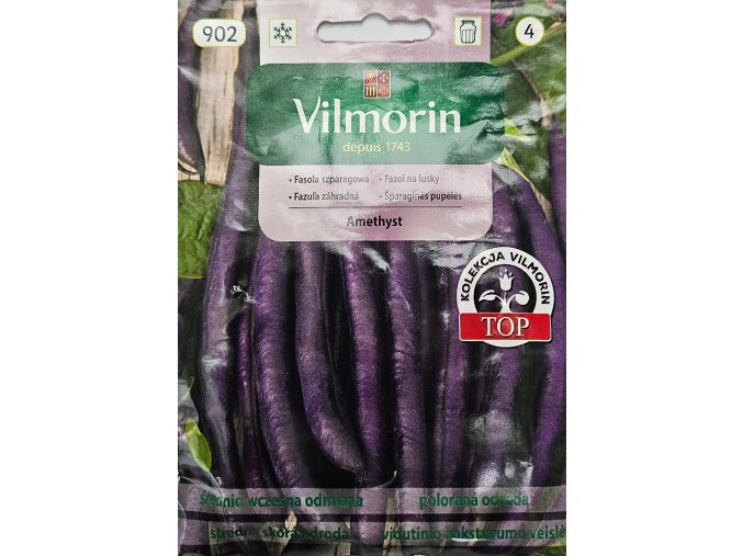 Fazuľa záhradná Ametyst Vilmorin