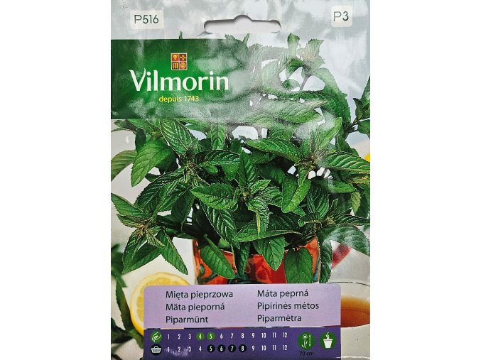 Mäta pieporná Premium Vilmorin