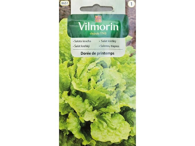 Šalát krehký Dorée de printemps Vilmorin