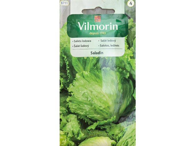 Šalát ľadový Saladin Vilmorin