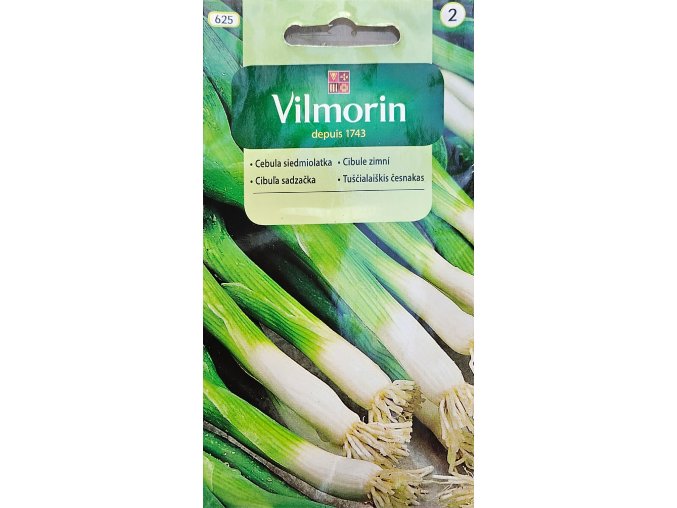 Cibuľa sadzačka Vilmorin
