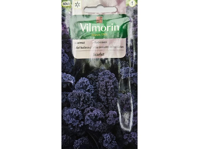 Kel kučeravými Scarlet Vilmorin
