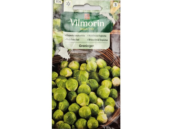 Kel ružičkový Groninger Vilmorin