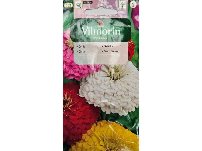 Cínia mix 352Vilmorin