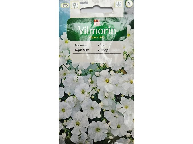 Gypsomilka Vilmorin