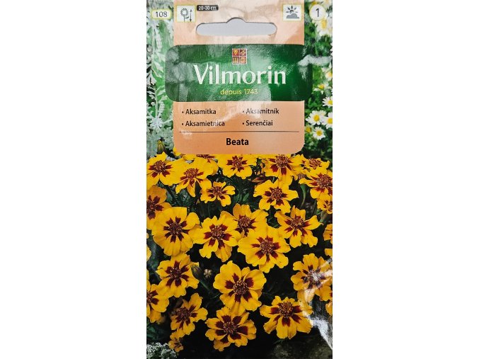 Aksamietnica Beata Vilmorin