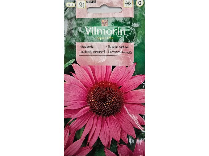 Rudbekia purpurová Vilmorin