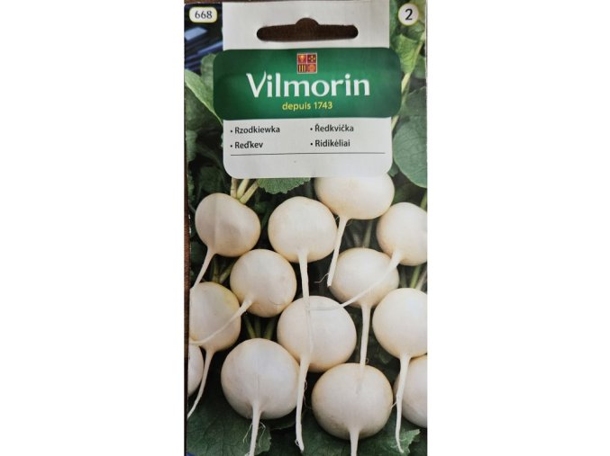 Reďkovka Vilmorin